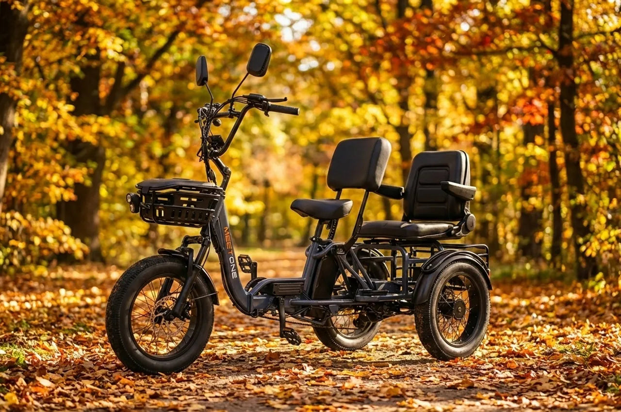 Electric Trike for Two Adults – Meet One Pair Electric Trike with Passenger Seat