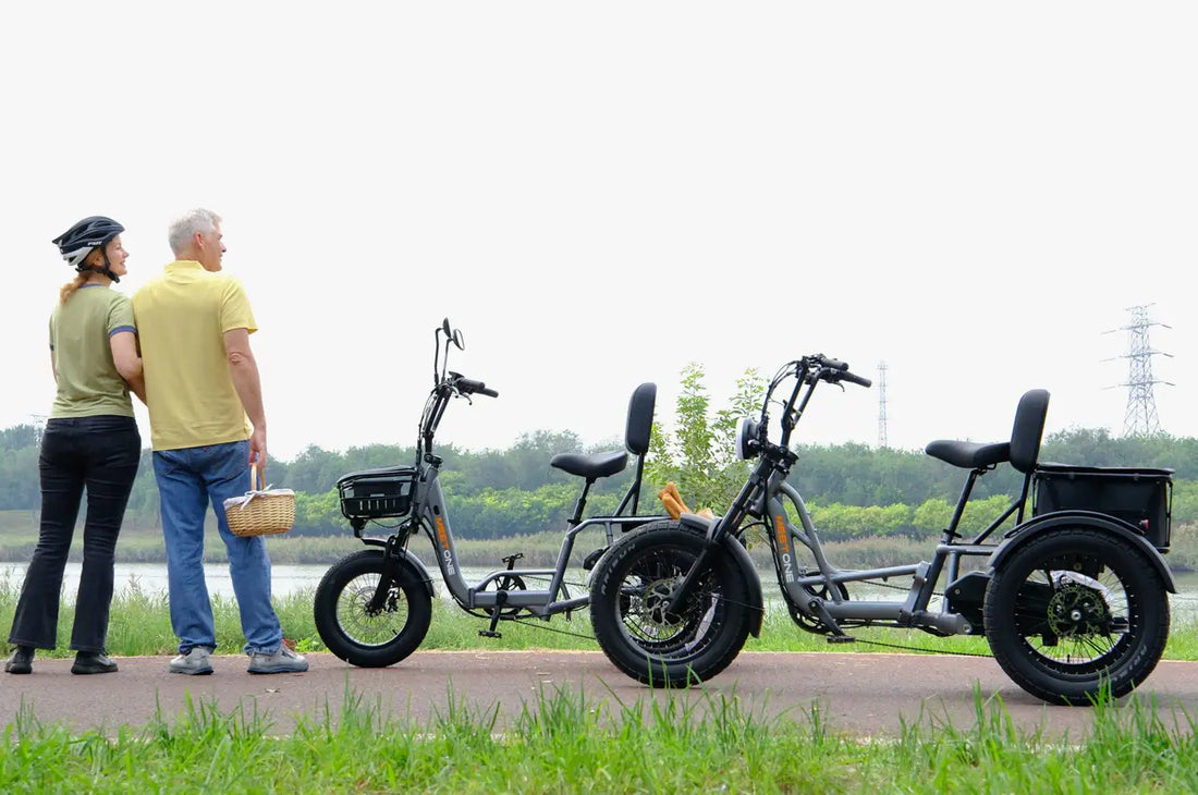 Reviewing Electric Trikes For Adults