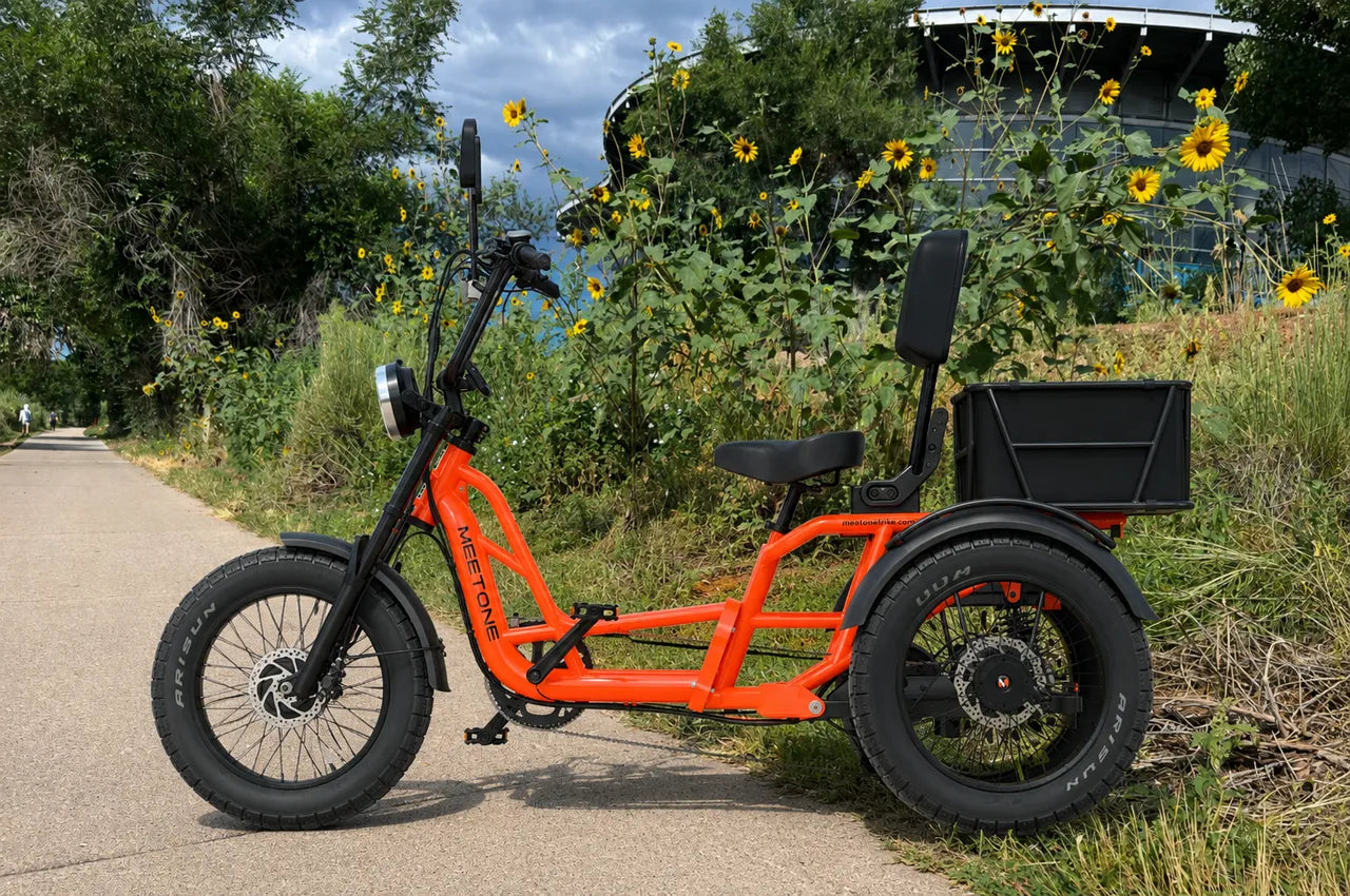 Best Electric Trike for Seniors