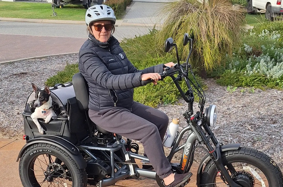 Best Electric Trikes for Riding with Your Dog