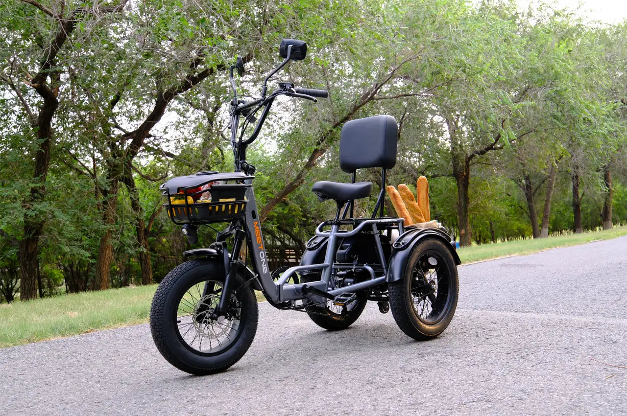 Guide to Buying an Electric Trike