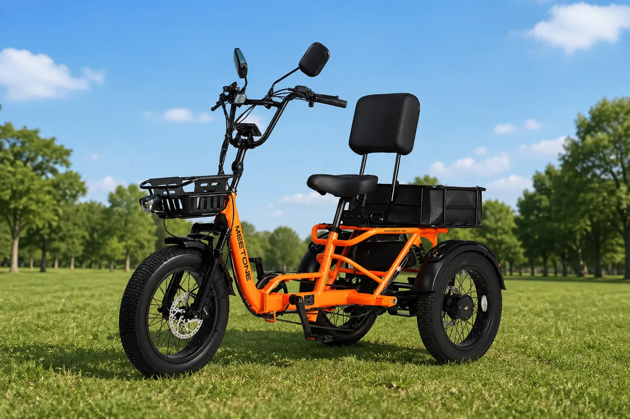 The Complete Guide to Electric Tricycle Types: What Every Rider Should ...