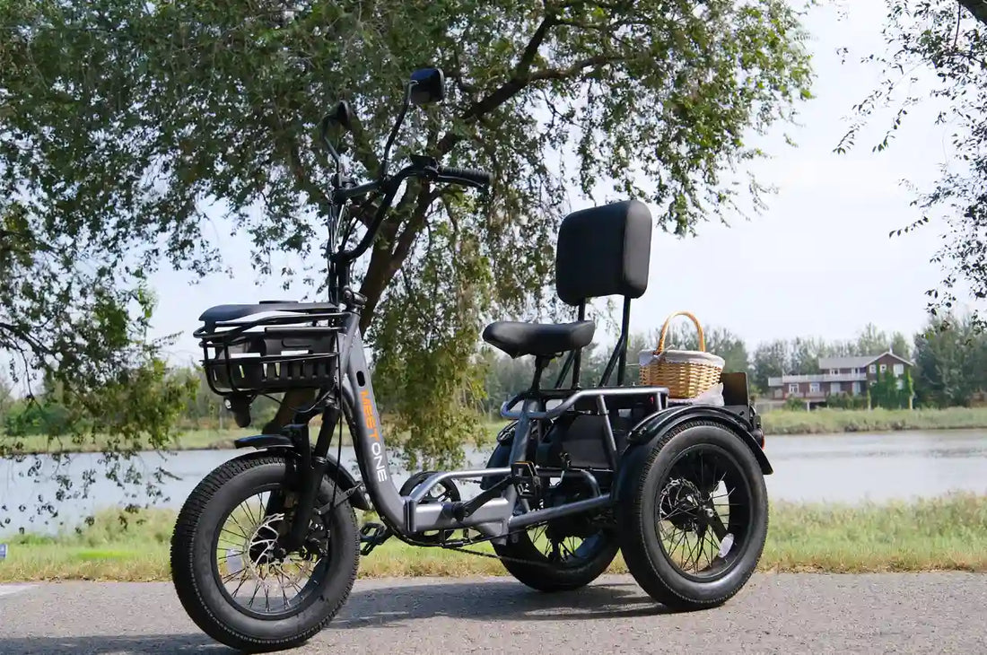 The Pros & Cons of Electric Tricycles