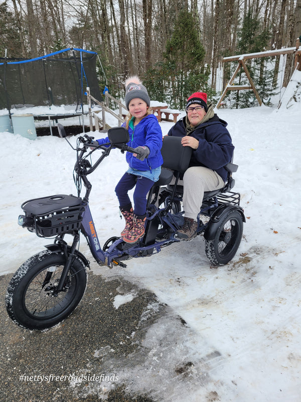 Meet One Electric Trikes | Joy in Cycling for Everyone – Meet One Trike