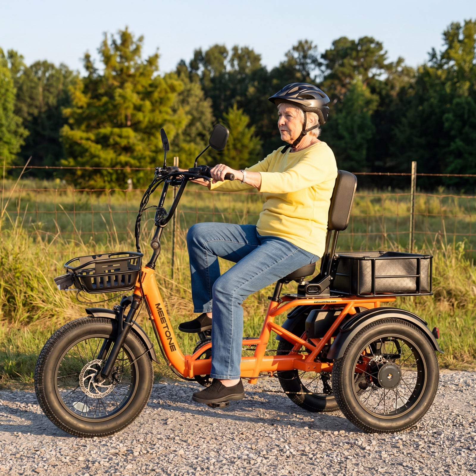 Breeze Pro 2.0 Fat Tire Electric Trike | Full Suspension eTrike