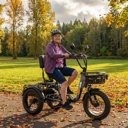 Meet One Breeze Pro Fat Tire Electric Trike