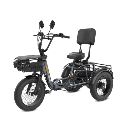 Meet One Breeze Pro Fat Tire Electric Trike