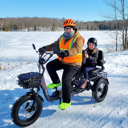 Meet One Pair Electric Trike with Passenger Seat