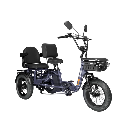 Meet One Pair Electric Trike with Passenger Seat
