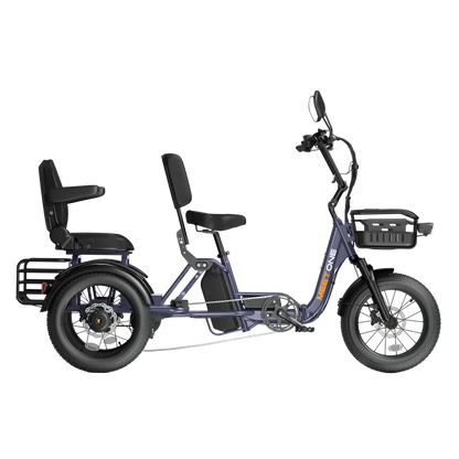Meet One Pair Electric Trike with Passenger Seat
