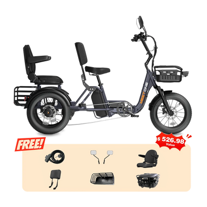 Meet One Pair Electric Trike with Passenger Seat
