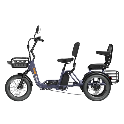Meet One Pair Electric Trike with Passenger Seat