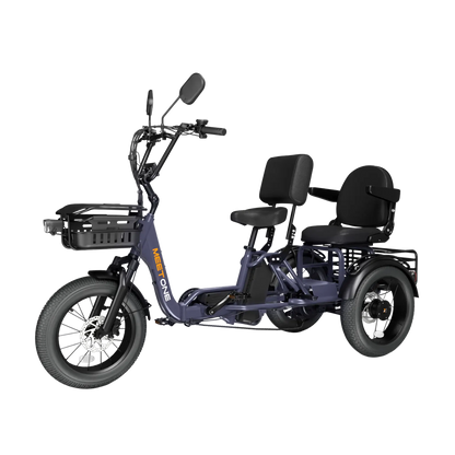 Meet One Pair Electric Trike with Passenger Seat
