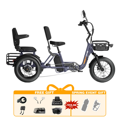 Meet One Pair Electric Trike with Passenger Seat