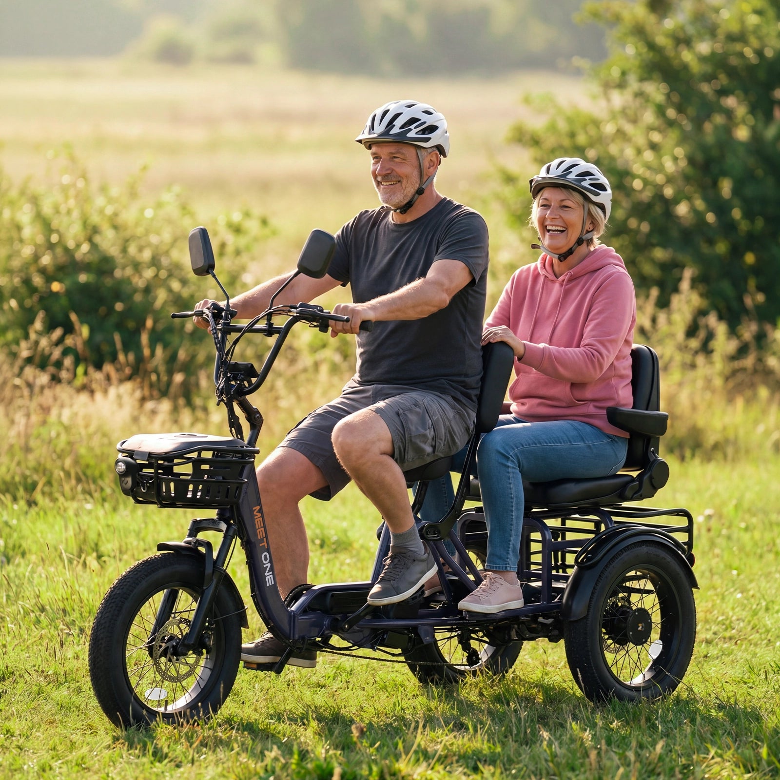Pair Electric Passenger eTrike
