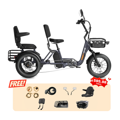 Meet One Pair Electric Trike with Passenger Seat