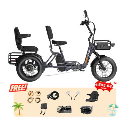 Meet One Pair Electric Trike with Passenger Seat