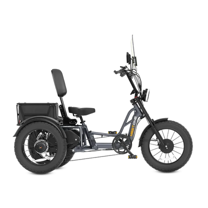 Meet One Trike Durable Windshield