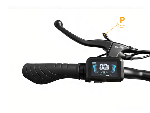 Reverse Mode & Parking Brake System