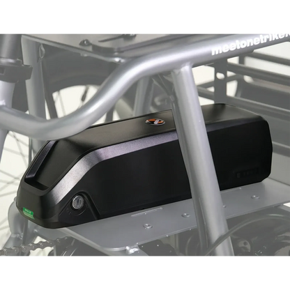 Meet One Spare Battery