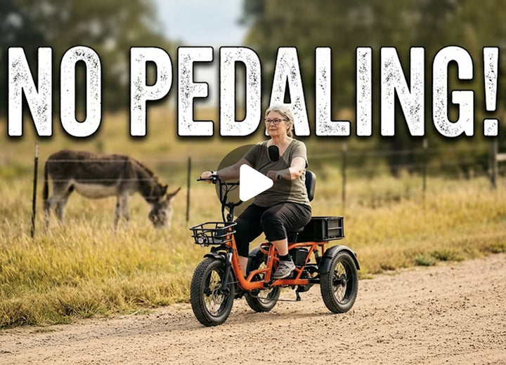 Meet One Trike electric trike review