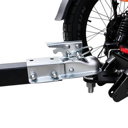 Meet One Trike Cargo Trailer