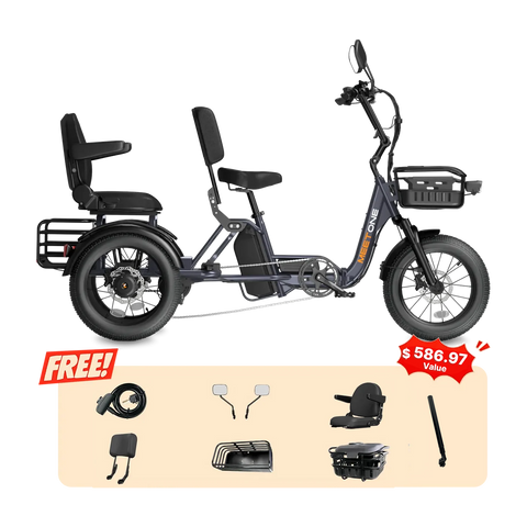 Meet One Pair Electric Trike with Passenger Seat